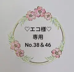 エコ様♡リクエスト★No.38＆46☆ 2点 まとめ商品