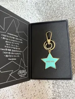SHINee ファンミーティング入場限定 キーホルダー 【未開封】
