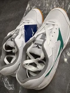 Mizuno 体育館シューズ　インドアシューズ　25.5cm