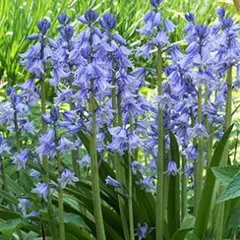 uepon様 リクエスト 2点 まとめ商品