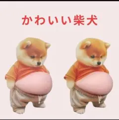 ２枚セット かわいい柴犬 おなかプックリ 立体 3D もちもちおなか