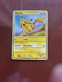 m96530489072_1.jpg?1771651822