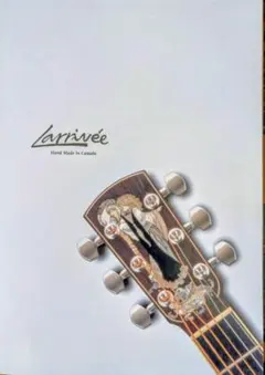 2026年最新】lake guitarの人気アイテム - メルカリ