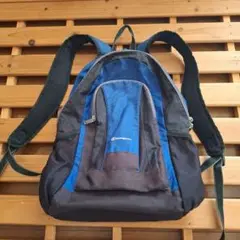 Champion 青黒 リュック