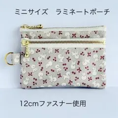 ☆ミニサイズ☆ラミネートポーチ☆ダブルファスナーポーチ☆ニコちゃん