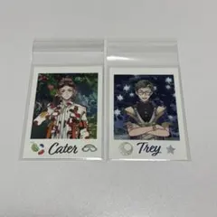 ツイステ展 ランダムカード ウエハース ケイト まとめ売り