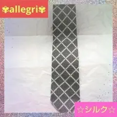 【⭐️春セール⭐️】 allegri アレグリ メンズ ネクタイ シルク