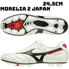 Item thumbnail for item 454950f2-e19a-40e9-bef4-dc3b44a18f5a