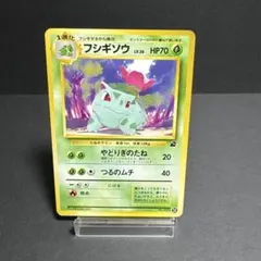 フシギソウ イントロパック