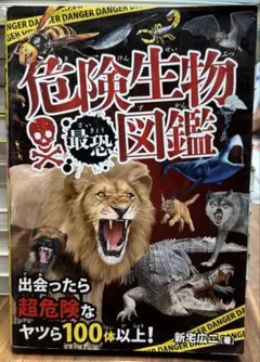 ゆうや様 リクエスト 2点 まとめ商品