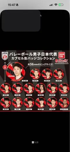 日本代表男子バレーボール　髙橋藍　ガチャガチャのサムネイル