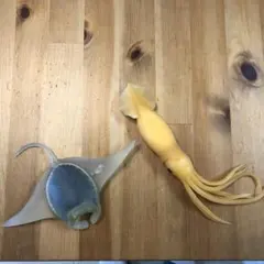 Item thumbnail for item c3ecc835-8c12-43e1-a681-cde66f25825f