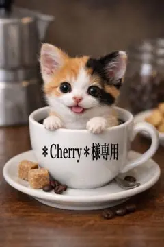 ＊Cherry＊様専用