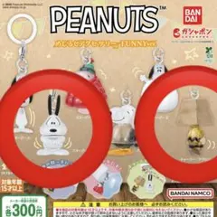 PEANUTS めじるしアクセサリー　スヌーピー
