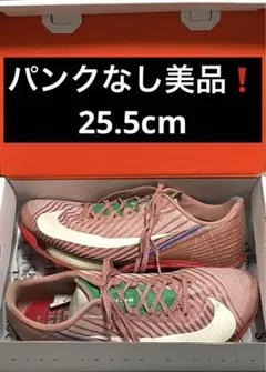 【レア品•美品】マックスフライ2 25.5cm