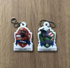 パウパトロール　ストラップ ロッキー　ズーマ