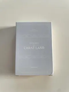 【新品】2018 SEVENTEEN CARATLAND フォトカードセット B
