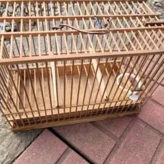 Item thumbnail for item 48a482fa-a7be-499b-8c91-ea25dabcb544