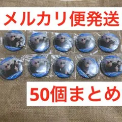 50点セット 未開封 呪術廻戦 CANバッジ 懐玉 玉折 五条悟 缶バッジ