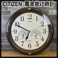 電波受信良好 シチズン 電波時計 ネムリーナロレーヌ 4MN417-006