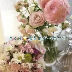 さくら⭐様専用ページです♡