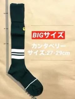 《カンタベリー/27-29cm》ラグビーソックス_383