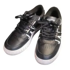 Item thumbnail for item 87e45149-1973-47bd-bdba-22e4b9a34053