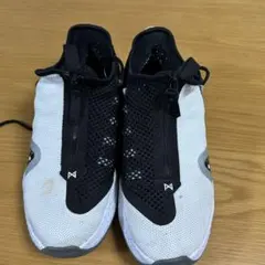 Nike メッシュスニーカー ホワイト/ブラック