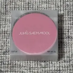 JUNG SAEM MOOL ジョンセンムル アーティストクッションブラッシュ②のサムネイル