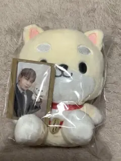 【4/4まで限定出品】 JOCHUM まめちぃ ぬいぐるみ