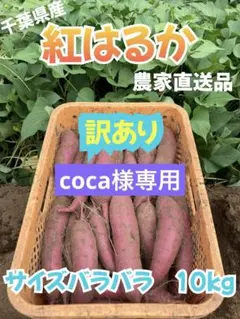 coca様専用　千葉県産　紅はるか　10kg 訳あり　61