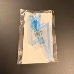 フェストイナズマ イナズマ びわ湖キーホルダー 水色