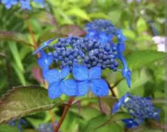 ヒデジイ様 リクエスト 3点 まとめ商品