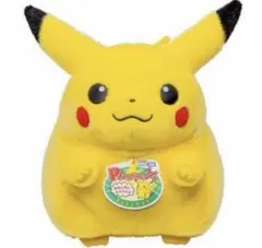 ポケモン30周年記念おかえり!ピカチュウ1/1