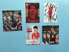 バレーボール男子日本代表　トレーディングカード2024