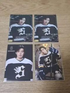 SEVENTEEN HOME ウォヌ トレカ