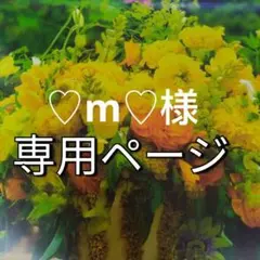 ♡m♡様　専用/4