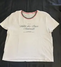 ZARA Tシャツ ホワイト ピンク グリーン