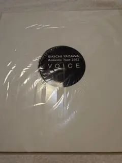 矢沢永吉 アコースティックツアー 2002 VOICE パンフレット ケース付