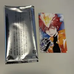 天野明展　購入特典　自撮り風トレーディングカード　沢田綱吉　超ツナ　2点 家庭教師ヒットマンREBORN！ 「天野明展」The Characters 物販