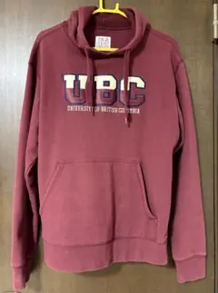 Item thumbnail for item 719a076f-4960-41d7-bfa7-b3b17cf385b4