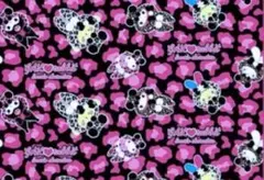 サンリオ ギャルらび 大きな毛布 ブランケット マイメロ キティ ウサハナ ⑤