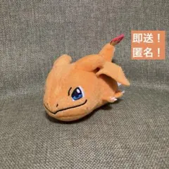 珍しい ポケットモンスター リザードン ぬいぐるみ ころりんフレンズ