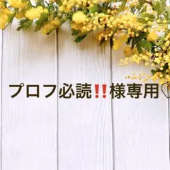 プロフ必読！！さん専用 ♡プロフ必読様 M♡プロフ必読 専用 M＊プロフィール必読さま専用 ZX