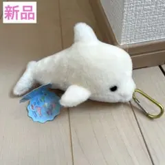 【新品】ぷきゅ＆ぶるぶる！ふわふわイルカ　クリーム　ぬいぐるみ　エールのサムネイル