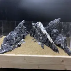 2025年最新】龍王石 親石の人気アイテム - メルカリ