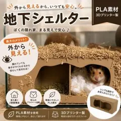ハムスター ハウス　隠れ家 2部屋構造のサムネイル