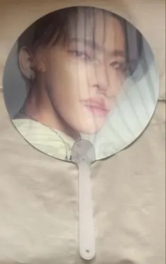 Dfesta 寺田倉庫 ランダムうちわ　SEVENTEEN DINO