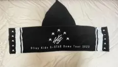 straykids スキズ　5-star ドムツ　アプグレ特典　フードタオル