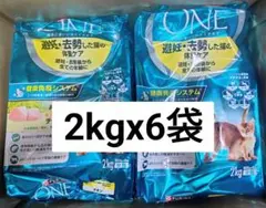 ネスレ ピュリナワン 健康マルチケア 11歳以上 チキン 2Kg 6袋